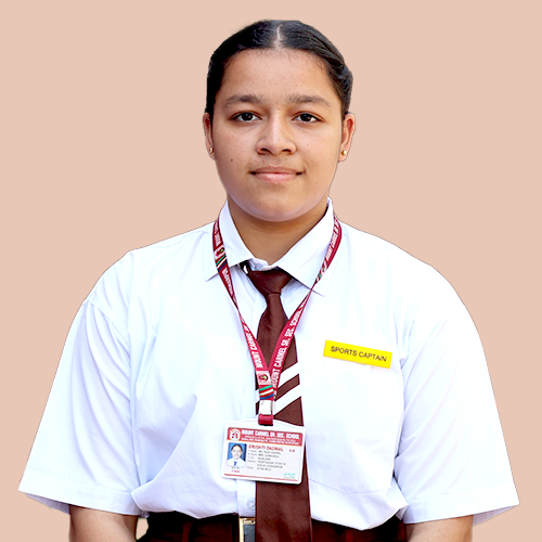 Yellow House Captain